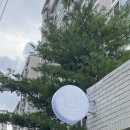 망원포레스트