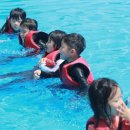 라이온 태권도 이미지