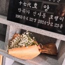 EXID LE 인스타그램 이미지
