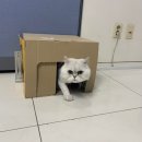 거래처앤신호등 | Aug 2021