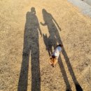 자쿠지 | 🏡 감성 가득 힐링 숙소, 감천재 자쿠지 애견 동반 펜션 후기