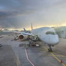 542 | [아시아나]프랑크푸르트 인천 OZ542 탑승 후기 기내식 비빔밥 후기