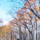 오고식당 이미지