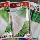호남원예사 - 무안군 무안중앙로 37 | 호남원예사