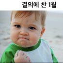 다움태권도장 이미지