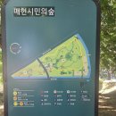 가볼만한곳] 양재시민의숲 : 도시 속 완벽한 초록 힐링! 놀이터와 물놀이까지 알찼던 주말 나들이 후기