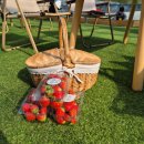 도남농장 | 내돈내산 양평딸기숲 2살 3살 아기 딸기 농장 체험 추천🍓 - 가격, 식사, 시간, 케이크만들기