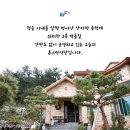 지사식당 이미지