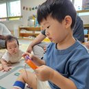 호동이농장 | 8주차 포토덤프 아들둘의 일상기록