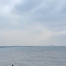 세희농장 이미지