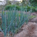 아라쉼 펜션 이미지