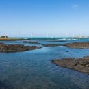 조수리엔 이미지