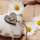 목동강서공인중개사사무소 이미지