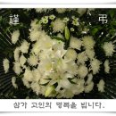 김*순 - 안양시 만안구 석천로 157 | 김*순