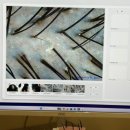 6444 | [모디슨 광교점] 친구랑 같이 다녀온 광교두피 관리샵 ‘모디슨 광교점’ 솔직 후기