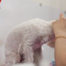 이뻐질개 이미지