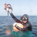 산소어촌체험휴양마을 이미지