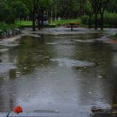 바람이지나간자리 이미지