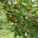 원산농장 이미지