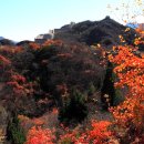 베이징최고야 이미지