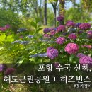 문화근린공원 | 포항 해도근린공원 수국 시즌 후기와 히즈빈스 문화예술회관점 카페 방문기