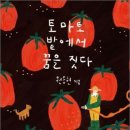 토마토스토리 이미지