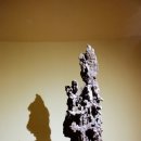 강정동-59 이미지