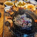 참뽈살