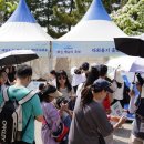 화성 뱃놀이축제 잡포스트