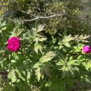 광덕한의원 이미지