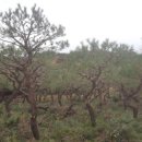 영민농장 이미지