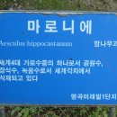 명곡미래빌1단지