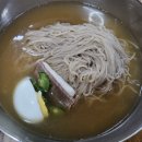 평양냉면 앞 | 육회 냉면 vs. 평양 냉면, 내돈내산 비교 후기