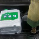 그린카프라자 이미지