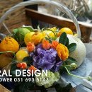 모아산부인과병원 이미지