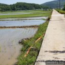 수로공인중개사사무소 이미지