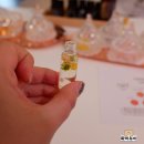 원예테라피_초록식물이 주는 마음의 위로 | 영도에서 만나는 초록 쉼표, 브리사뜰 아로마테라피 체험 후기