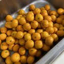 홍양농장 이미지