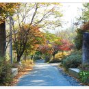 비슬산휴양림주차장 이미지