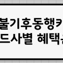 후불 기후동행카드 카드사별 혜택, 발급방법 총정리 이미지