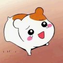 나*호 - 안양시 동안구 | 나*호