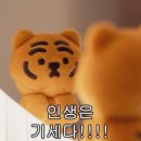 비앤영 코젤코 내돈내산 6개월 솔직후기 (복코 전후사진)
