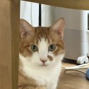 욕지도펜션리조트 | 룰리커피/바지크/여름휴가로 경주가기 ★ 료코 카츠, 료키 누들/바다보이는 펜션리조트 &#34;웨이트리&#34; 후기