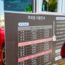 해운대비치오피스텔 | 부산 애견동반 숙소 가성비 오션뷰 코브스테이 해운대 페텔 예약후기