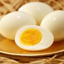 목감시티동물병원 이미지