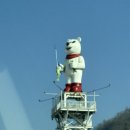 2025 얼음나라 화천 산천어축제 개막식 | #19 2025 얼음나라화천 산천어축제 방문 후기!