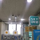 스카이버디학원