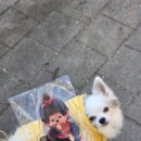 지에스25 서정스마트점 | 몬치치 스마트톡 세트 GS25 구매후기