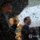 비봄