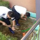 원종지구대 이미지